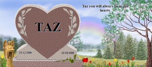 TAZ's Rainbow Bridge Pet Loss Memorial Residency Image