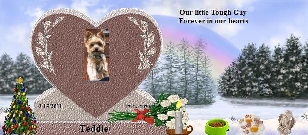 Teddie's Rainbow Bridge Pet Loss Memorial Residency Image