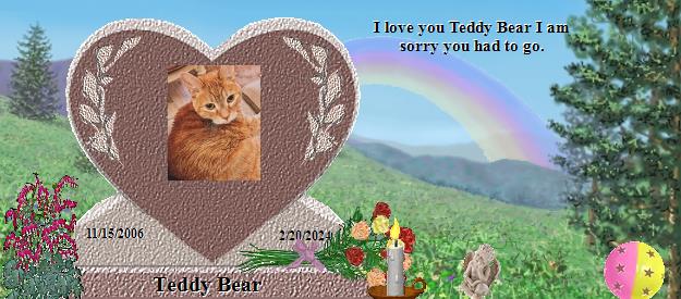 Teddy Bear's Rainbow Bridge Pet Loss Memorial Residency Image