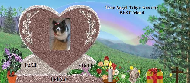 Tehya's Rainbow Bridge Pet Loss Memorial Residency Image
