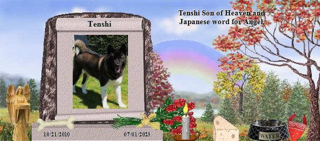 Tenshi's Rainbow Bridge Pet Loss Memorial Residency Image