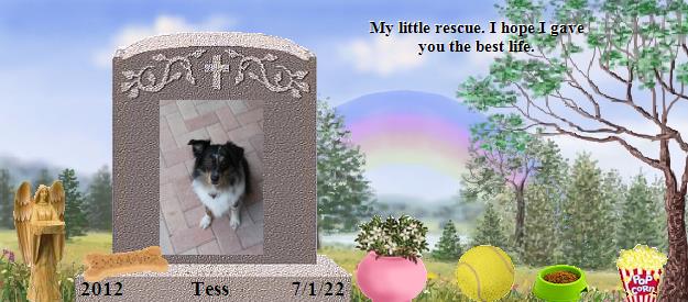 Tess's Rainbow Bridge Pet Loss Memorial Residency Image