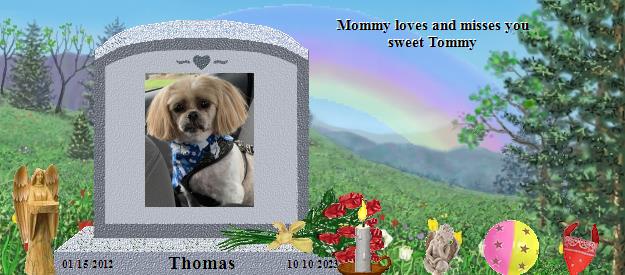 Thomas's Rainbow Bridge Pet Loss Memorial Residency Image