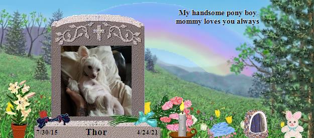 Thor's Rainbow Bridge Pet Loss Memorial Residency Image