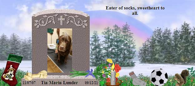 Tia Maria Lunder's Rainbow Bridge Pet Loss Memorial Residency Image