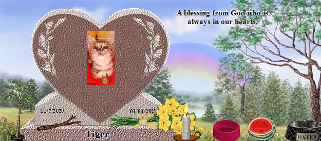 Tiger's Rainbow Bridge Pet Loss Memorial Residency Image