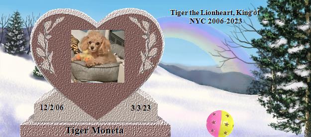 Tiger Moneta's Rainbow Bridge Pet Loss Memorial Residency Image