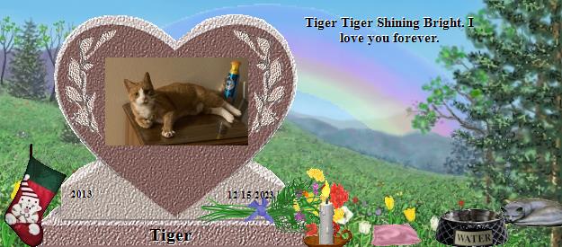 Tiger's Rainbow Bridge Pet Loss Memorial Residency Image