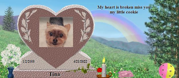 Tina's Rainbow Bridge Pet Loss Memorial Residency Image