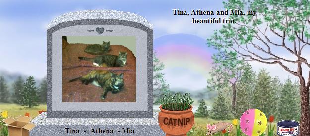 Tina  -  Athena  - Mia's Rainbow Bridge Pet Loss Memorial Residency Image