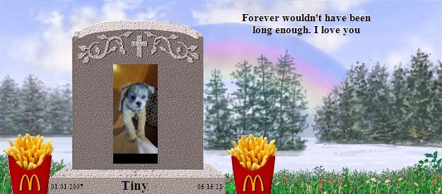 Tiny's Rainbow Bridge Pet Loss Memorial Residency Image