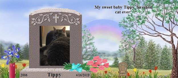 Tippy's Rainbow Bridge Pet Loss Memorial Residency Image