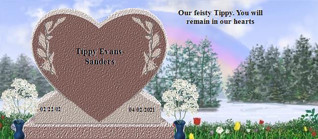 Tippy Evans-Sanders's Rainbow Bridge Pet Loss Memorial Residency Image