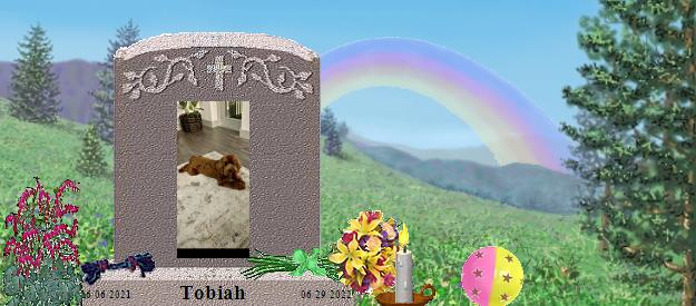 Tobiah's Rainbow Bridge Pet Loss Memorial Residency Image