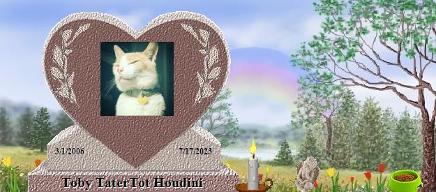 Toby TaterTot Houdini's Rainbow Bridge Pet Loss Memorial Residency Image