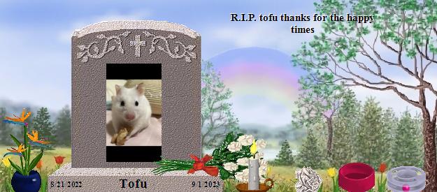 Tofu's Rainbow Bridge Pet Loss Memorial Residency Image