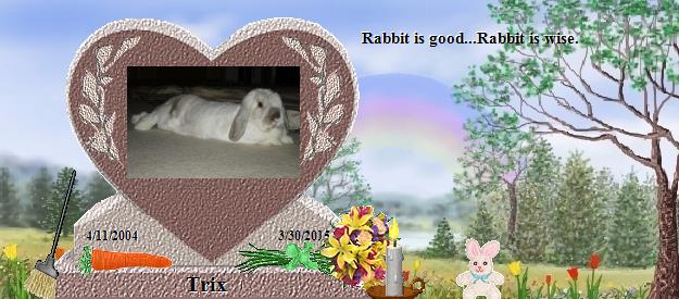 Trix's Rainbow Bridge Pet Loss Memorial Residency Image