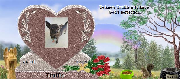 Truffle's Rainbow Bridge Pet Loss Memorial Residency Image