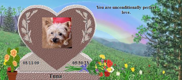 Tuna's Rainbow Bridge Pet Loss Memorial Residency Image
