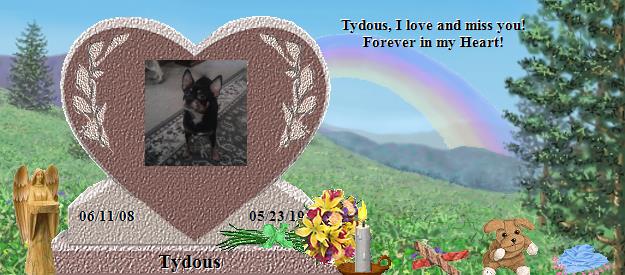 Tydous's Rainbow Bridge Pet Loss Memorial Residency Image