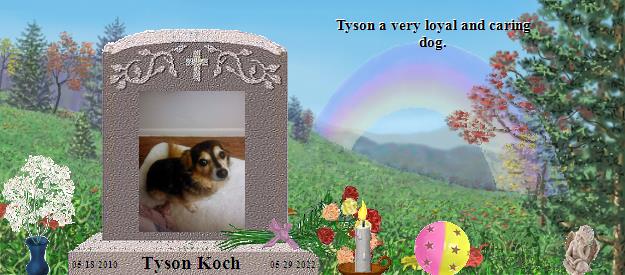 Tyson Koch's Rainbow Bridge Pet Loss Memorial Residency Image