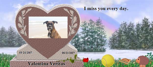 Valentina Veritas's Rainbow Bridge Pet Loss Memorial Residency Image
