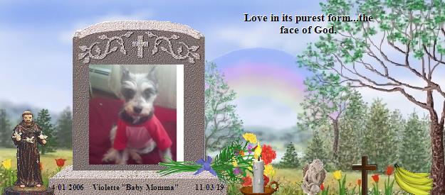 Violette "Baby Momma"'s Rainbow Bridge Pet Loss Memorial Residency Image