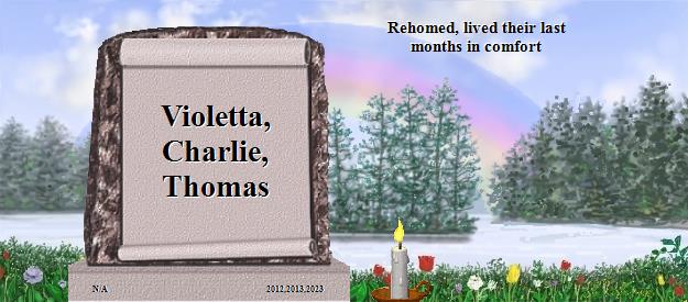 Violetta, Charlie, Thomas's Rainbow Bridge Pet Loss Memorial Residency Image