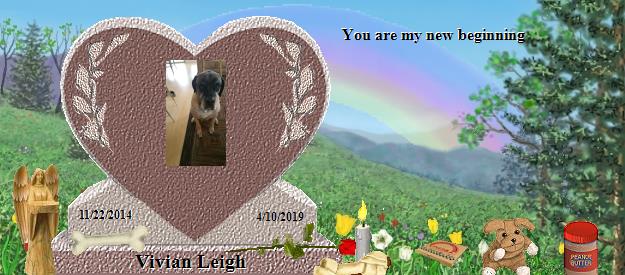 Vivian Leigh's Rainbow Bridge Pet Loss Memorial Residency Image