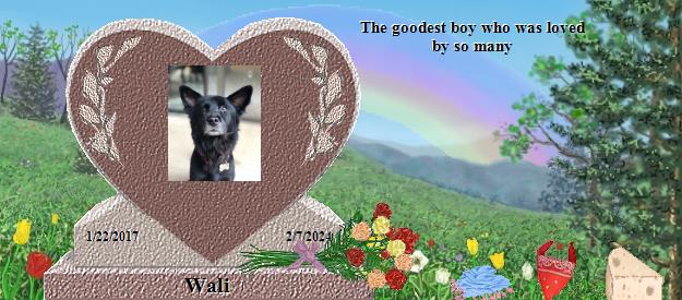 Wali's Rainbow Bridge Pet Loss Memorial Residency Image