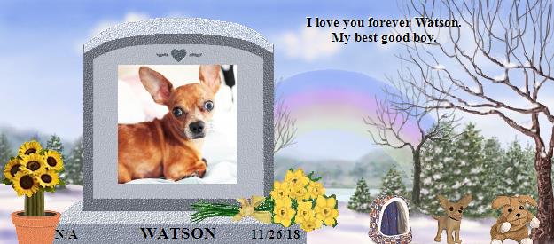 WATSON's Rainbow Bridge Pet Loss Memorial Residency Image