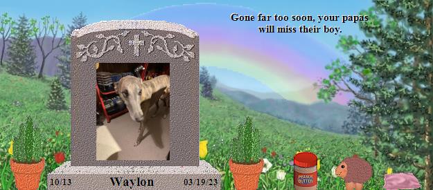 Waylon's Rainbow Bridge Pet Loss Memorial Residency Image