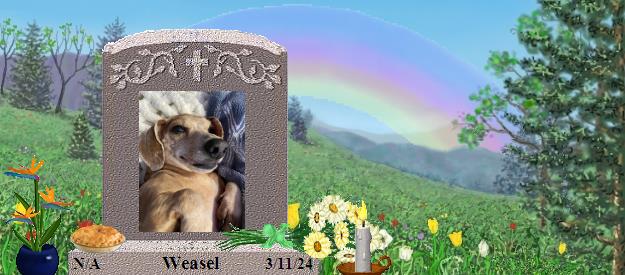 Weasel's Rainbow Bridge Pet Loss Memorial Residency Image
