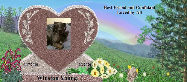Winston Young's Rainbow Bridge Pet Loss Memorial Residency Image