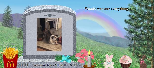 Winston Bryce Mulhall's Rainbow Bridge Pet Loss Memorial Residency Image