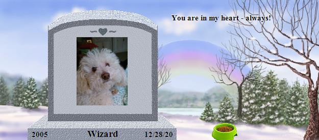 Wizard's Rainbow Bridge Pet Loss Memorial Residency Image