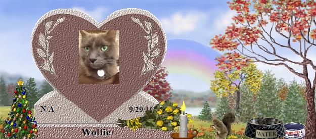 Wolfie's Rainbow Bridge Pet Loss Memorial Residency Image