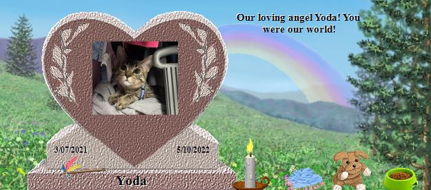 Yoda's Rainbow Bridge Pet Loss Memorial Residency Image