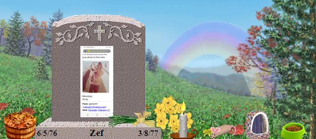 Zef's Rainbow Bridge Pet Loss Memorial Residency Image