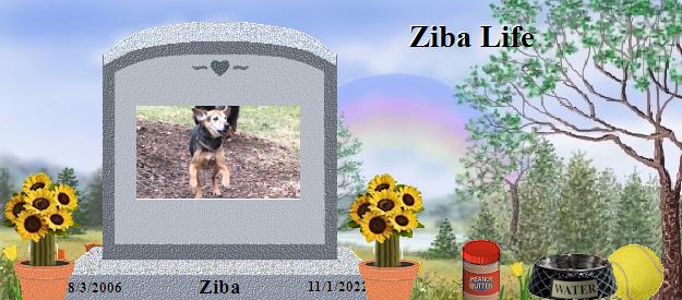 Ziba's Rainbow Bridge Pet Loss Memorial Residency Image
