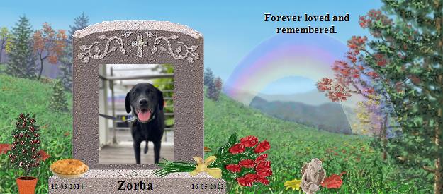 Zorba's Rainbow Bridge Pet Loss Memorial Residency Image