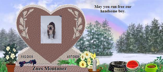 Zues Montanez's Rainbow Bridge Pet Loss Memorial Residency Image