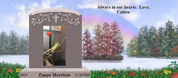 Zuppe Morrison's Rainbow Bridge Pet Loss Memorial Residency Image