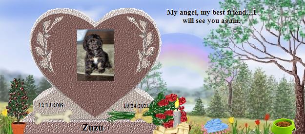 Zuzu's Rainbow Bridge Pet Loss Memorial Residency Image