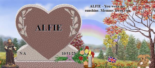 ALFIE's Rainbow Bridge Pet Loss Memorial Residency Image