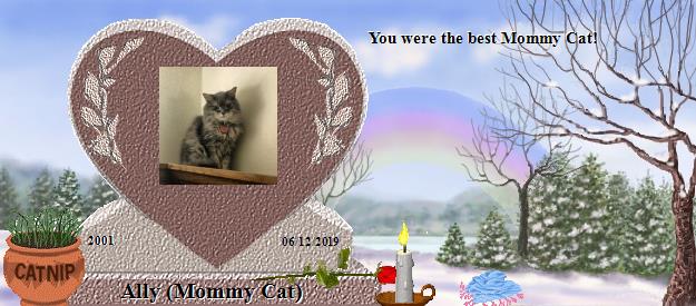 Ally (Mommy Cat)'s Rainbow Bridge Pet Loss Memorial Residency Image