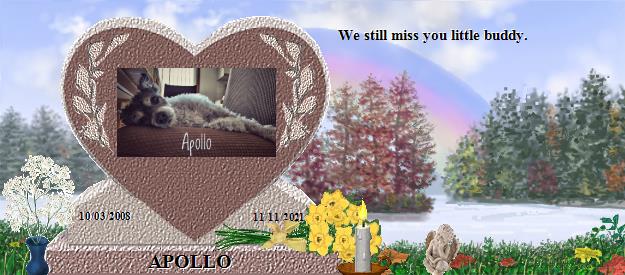APOLLO's Rainbow Bridge Pet Loss Memorial Residency Image