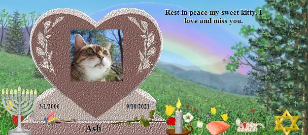 Ash's Rainbow Bridge Pet Loss Memorial Residency Image
