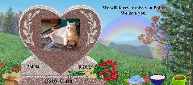 Baby Cain's Rainbow Bridge Pet Loss Memorial Residency Image