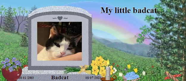 Badcat's Rainbow Bridge Pet Loss Memorial Residency Image